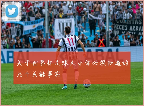 关于世界杯足球大小你必须知道的几个关键事实