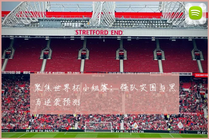 聚焦世界杯小组赛：强队突围与黑马逆袭预测